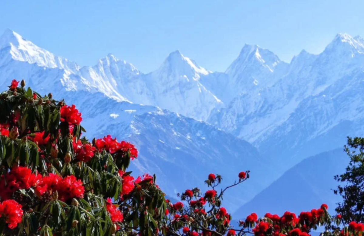 Best Time to Visit Munsiyari